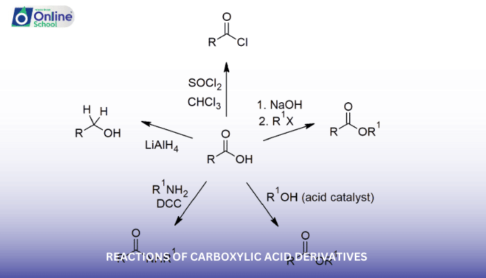 Lesson 04: Reactions of Carboxylic Acid Derivatives